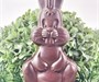 lapin praliné