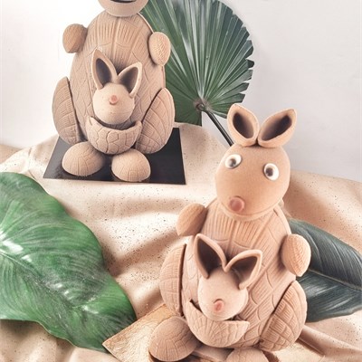 kangourou et son bebe