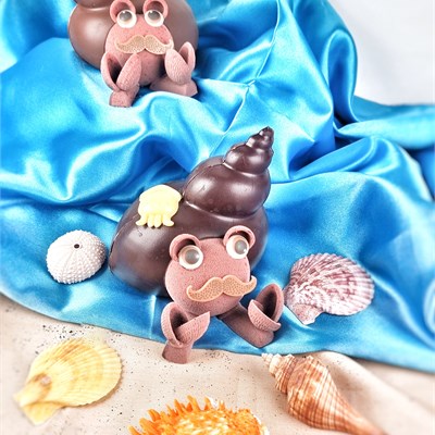 mollusque chocolat