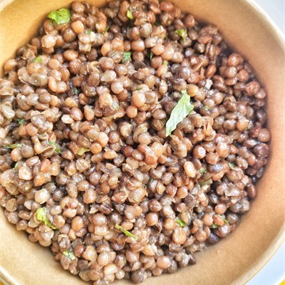 lentilles salade