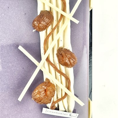 DESSERT THONON