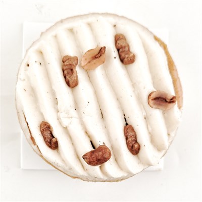 tarte cacahuète chaumontet